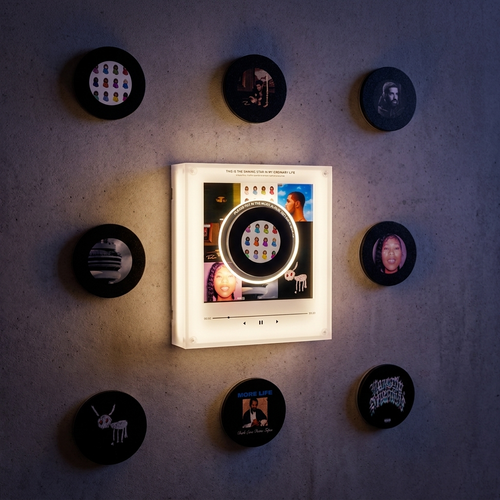 EchoMuse Mini Vinyl - Drake disc